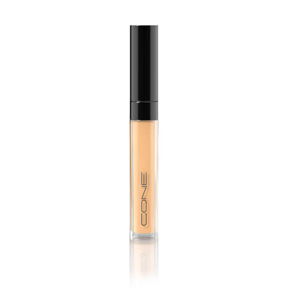 HD Pro Concealer